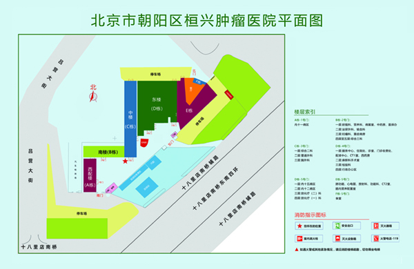 操老阿姨大逼视频北京市朝阳区桓兴肿瘤医院平面图